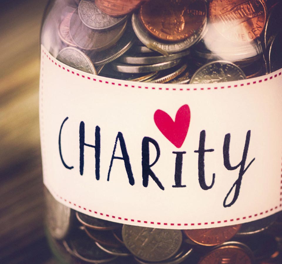 India Dark T-shirt - Image 3